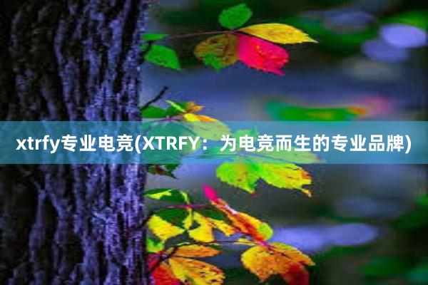 xtrfy专业电竞(XTRFY：为电竞而生的专业品牌)