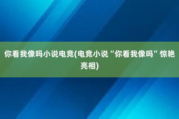 你看我像吗小说电竞(电竞小说“你看我像吗”惊艳亮相)