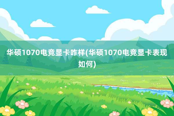 华硕1070电竞显卡咋样(华硕1070电竞显卡表现如何)