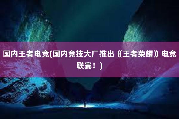 国内王者电竞(国内竞技大厂推出《王者荣耀》电竞联赛！)