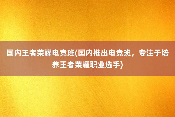 国内王者荣耀电竞班(国内推出电竞班，专注于培养王者荣耀职业选手)