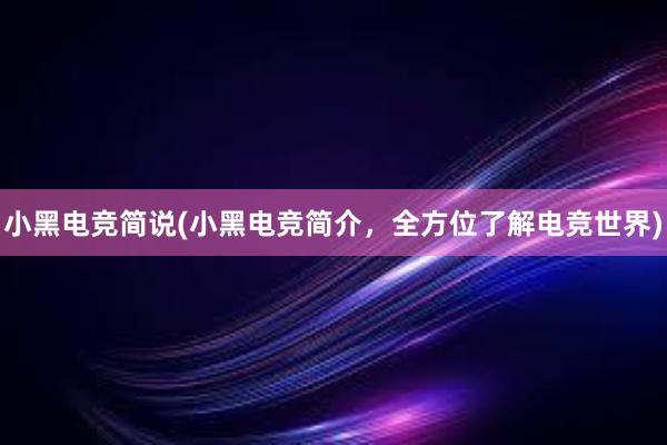 小黑电竞简说(小黑电竞简介，全方位了解电竞世界)