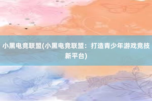 小黑电竞联盟(小黑电竞联盟：打造青少年游戏竞技新平台)