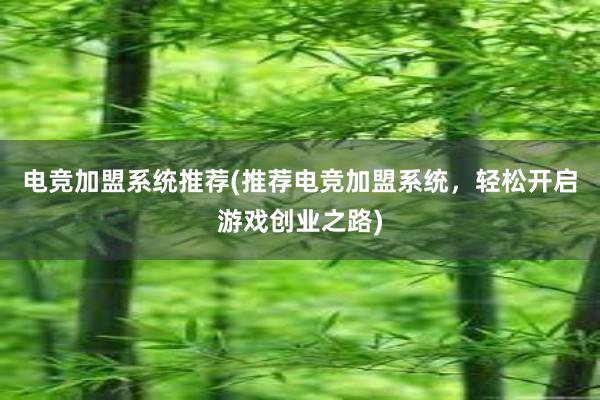 电竞加盟系统推荐(推荐电竞加盟系统，轻松开启游戏创业之路)