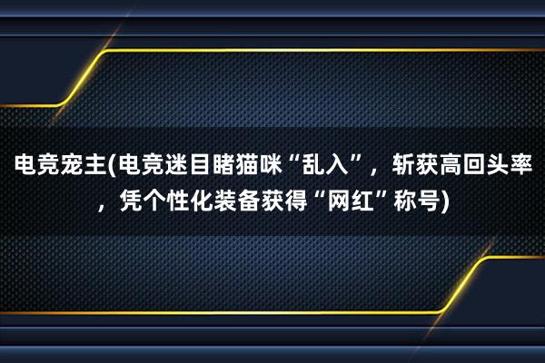 电竞宠主(电竞迷目睹猫咪“乱入”，斩获高回头率，凭个性化装备获得“网红”称号)