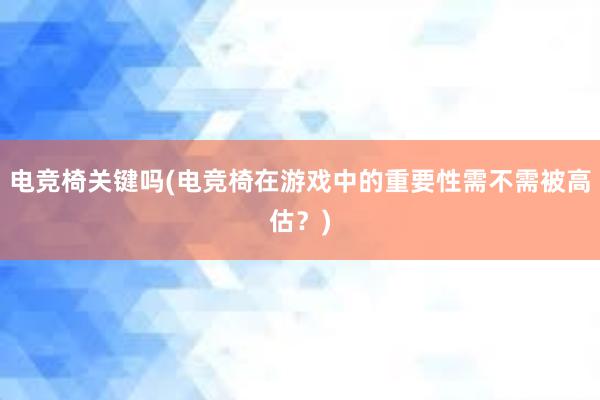 电竞椅关键吗(电竞椅在游戏中的重要性需不需被高估？)