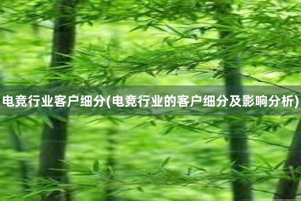 电竞行业客户细分(电竞行业的客户细分及影响分析)