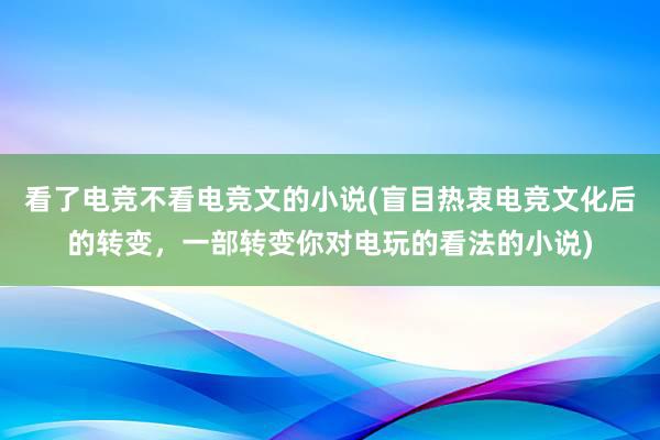 看了电竞不看电竞文的小说(盲目热衷电竞文化后的转变，一部转变你对电玩的看法的小说)