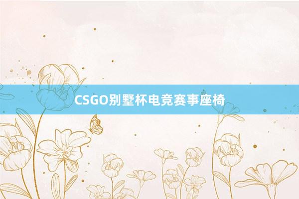 CSGO别墅杯电竞赛事座椅