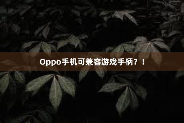 Oppo手机可兼容游戏手柄？！