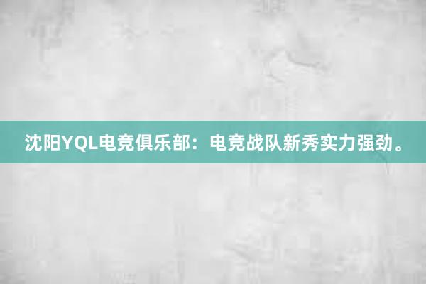 沈阳YQL电竞俱乐部：电竞战队新秀实力强劲。