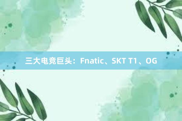 三大电竞巨头：Fnatic、SKT T1、OG