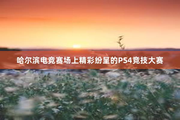 哈尔滨电竞赛场上精彩纷呈的PS4竞技大赛