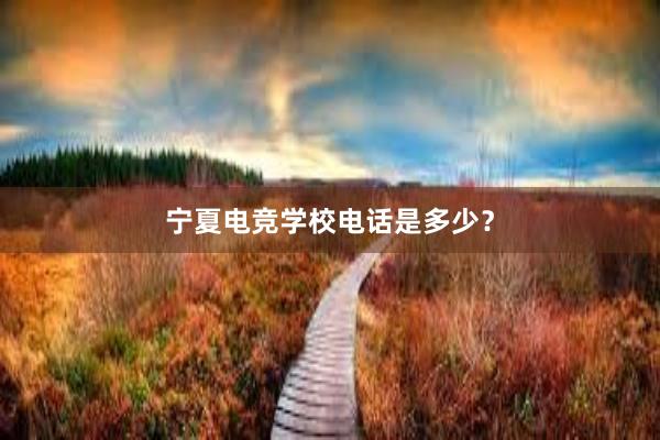 宁夏电竞学校电话是多少？