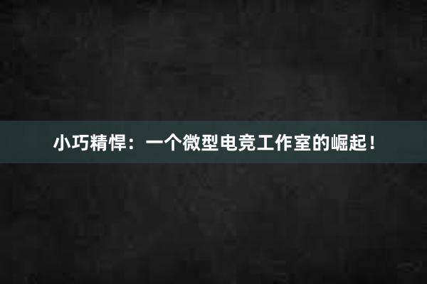 小巧精悍：一个微型电竞工作室的崛起！