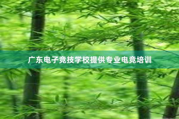 广东电子竞技学校提供专业电竞培训