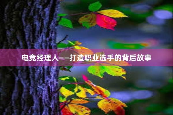 电竞经理人——打造职业选手的背后故事