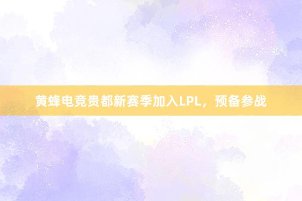 黄蜂电竞贵都新赛季加入LPL，预备参战